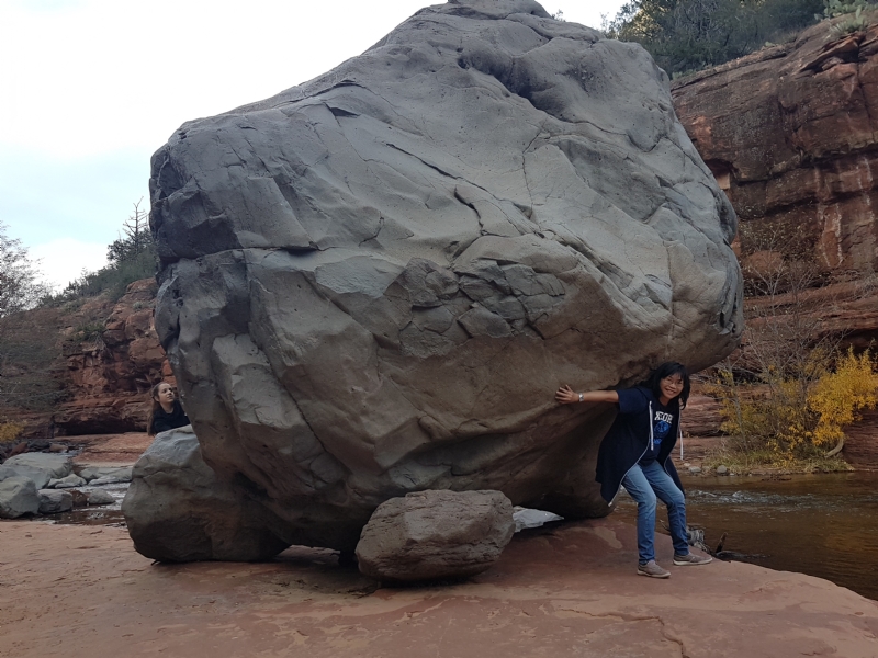 Apple的第一张照片--佛山相亲服务中心