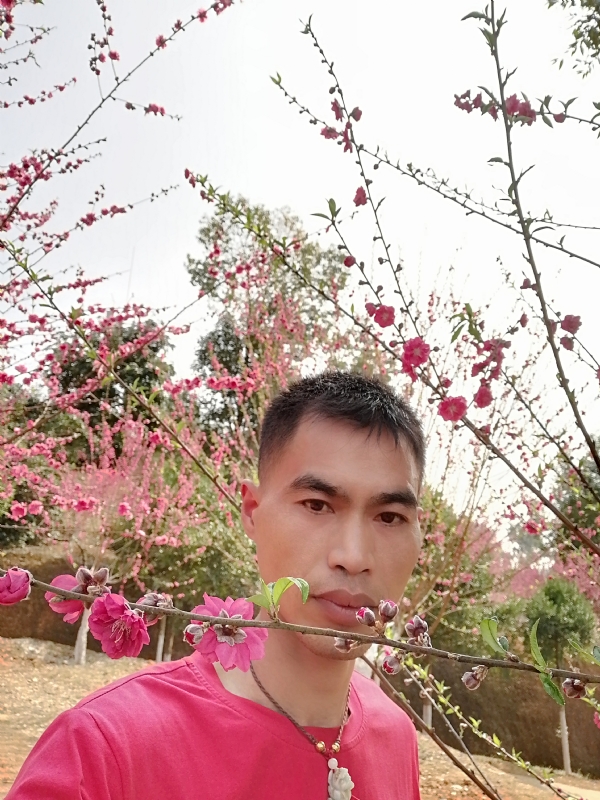 惜緣的第一张照片--佛山相亲服务中心