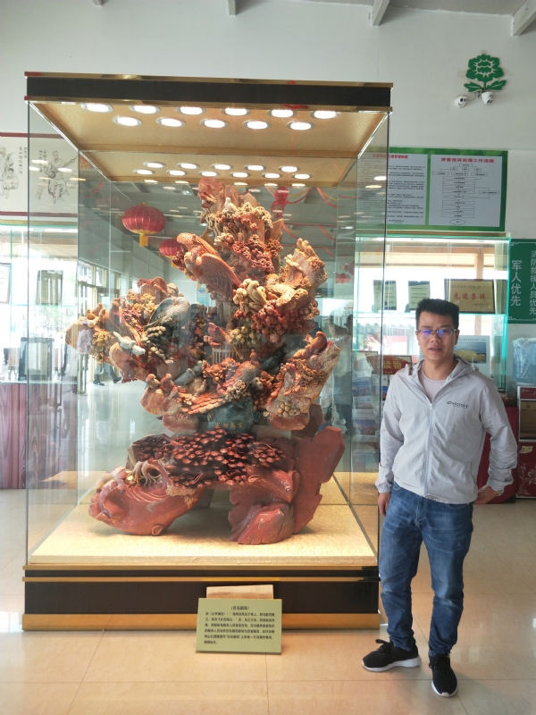 暖阳的第一张照片--佛山相亲服务中心