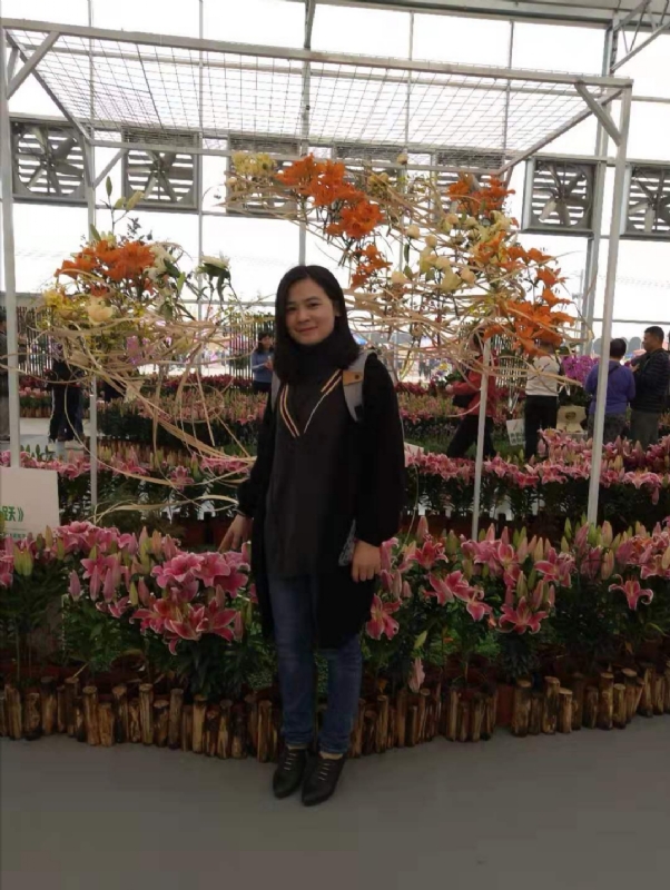 紫苏的第一张照片--佛山相亲服务中心