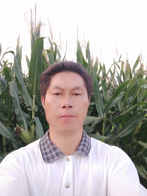 四海游龙的第二张照片--佛山相亲服务中心