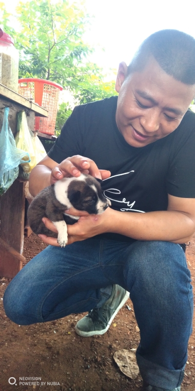 深圳相亲的第一张照片--佛山相亲服务中心