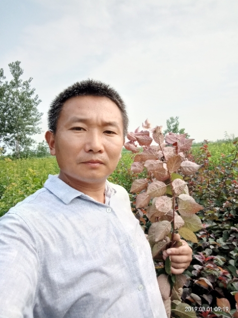 孩子爸的第二张照片--佛山相亲服务中心