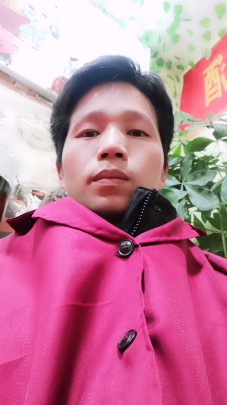 单身的林凡的第二张照片--佛山相亲服务中心