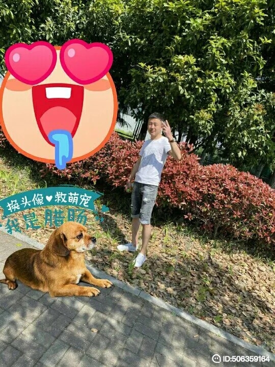 我若不坚强谁替我勇敢的第五张照片--佛山相亲服务中心