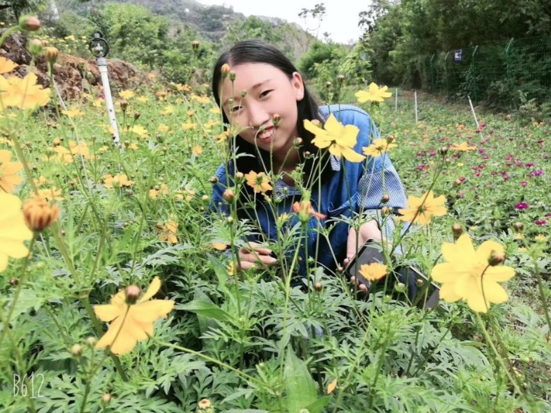 哈哈的第一张照片--佛山相亲服务中心