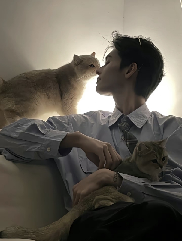 怪猫的第一张照片--佛山相亲服务中心