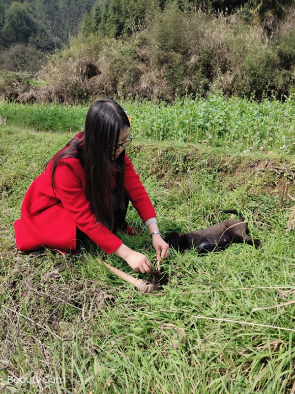 下一个春和秋的第一张照片--佛山相亲服务中心
