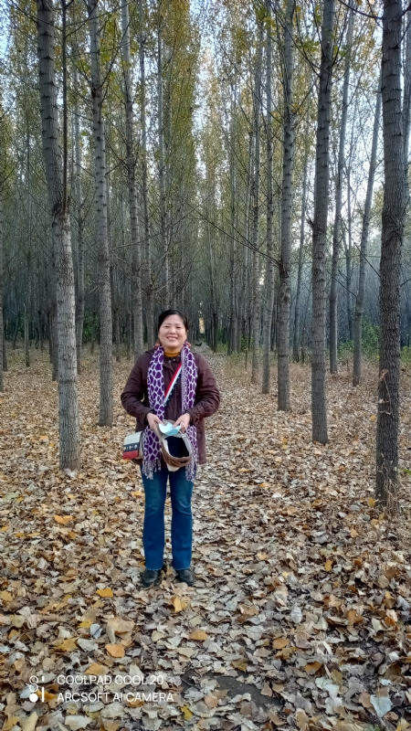 小海星的第二张照片--佛山相亲服务中心