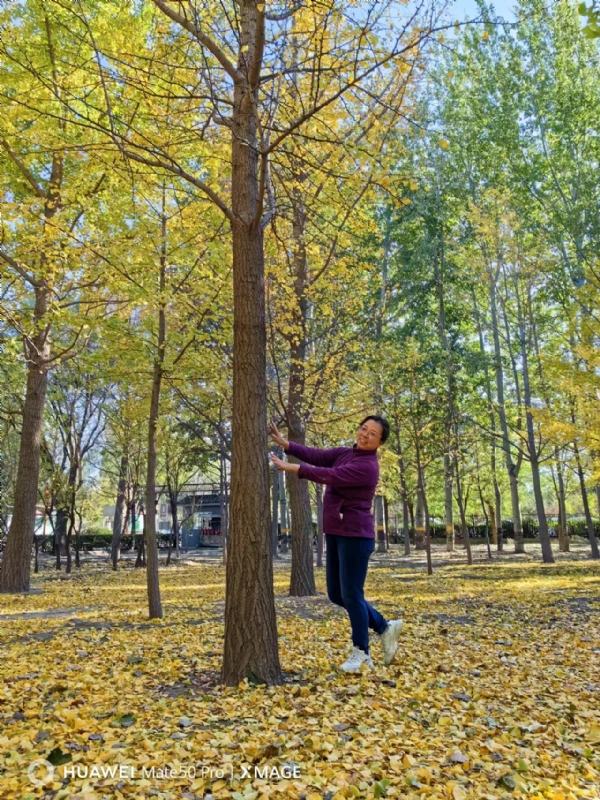 Shirley的第一张照片--佛山相亲服务中心