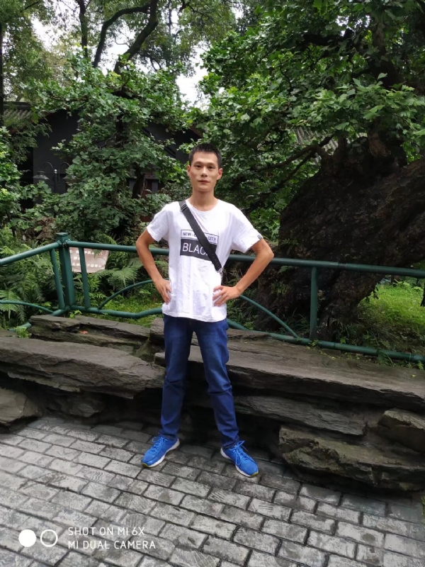 会飞的猪的第一张照片--佛山相亲服务中心