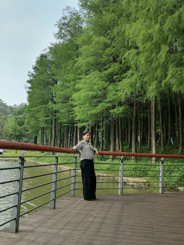 遗失的记忆的第二张照片--佛山相亲服务中心