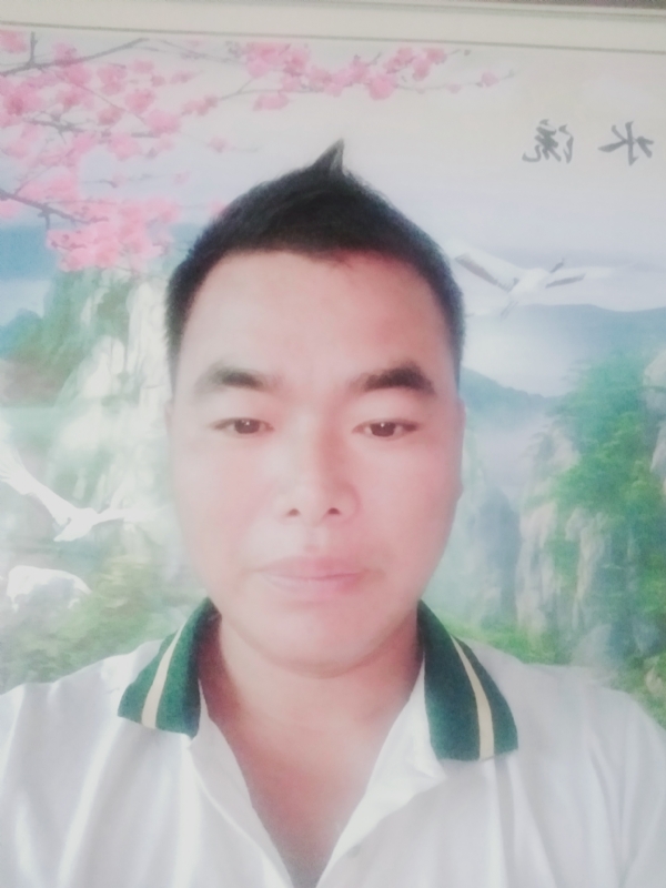 阳光男孩的第二张照片--佛山相亲服务中心