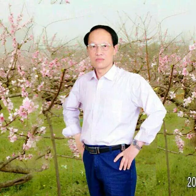 枫叶的第一张照片--佛山相亲服务中心