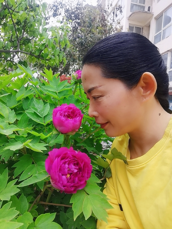 厚德载物的第一张照片--佛山相亲服务中心