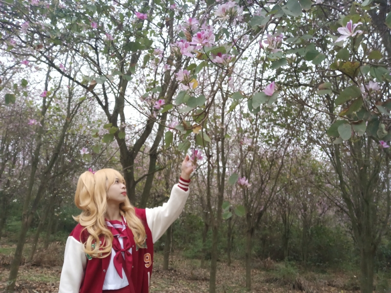 暮秋的第一张照片--佛山相亲服务中心