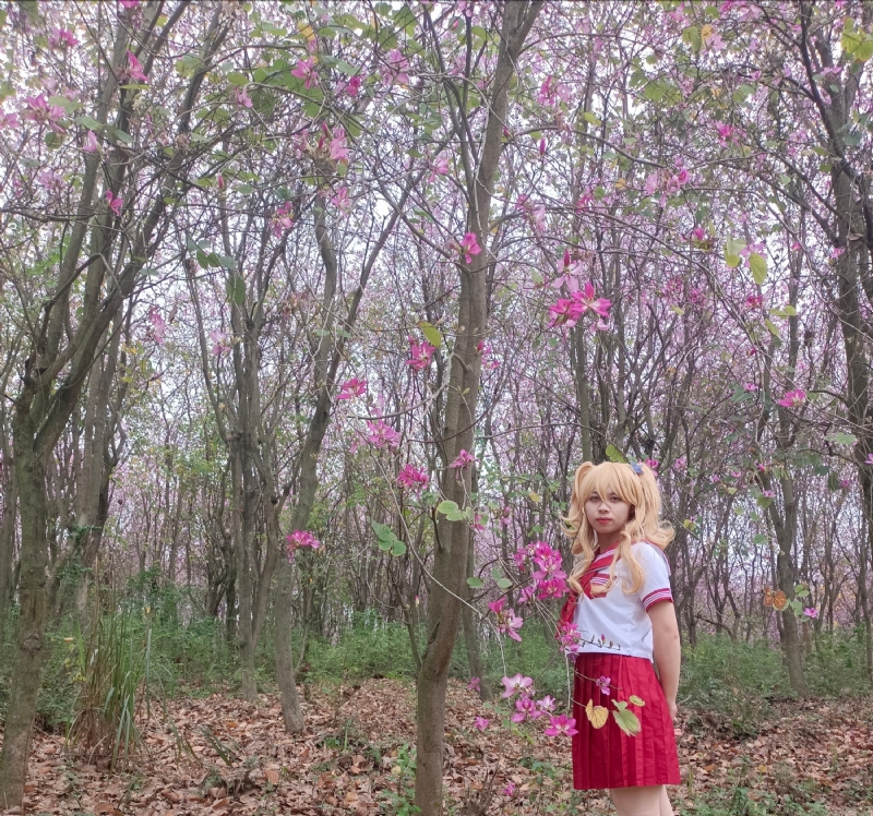 暮秋的第三张照片--佛山相亲服务中心