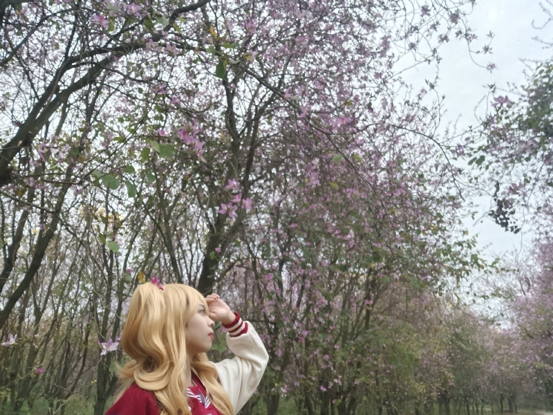 暮秋的第五张照片--佛山相亲服务中心